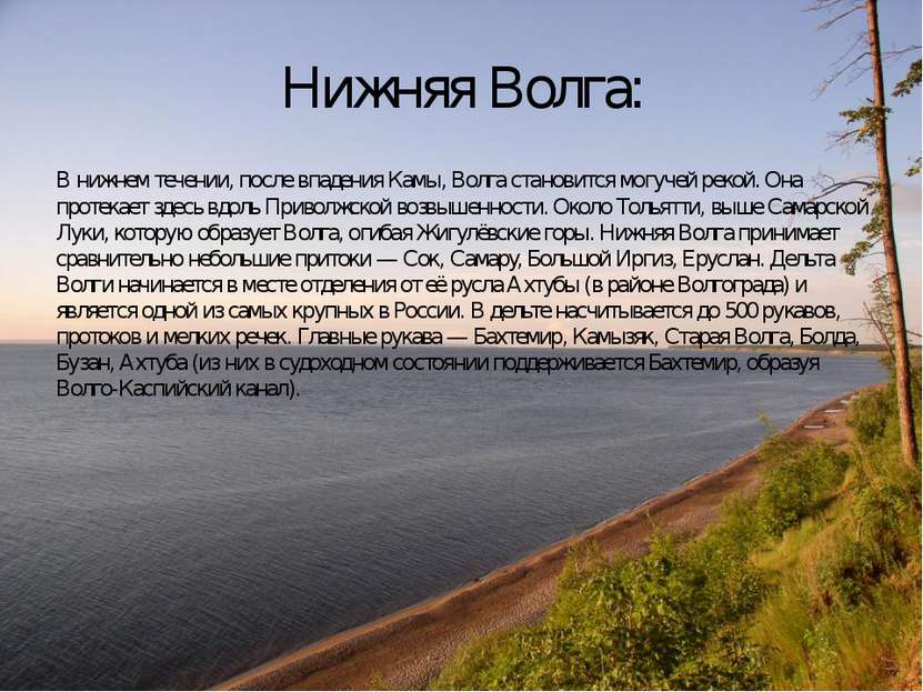 Нижняя Волга: В нижнем течении, после впадения Камы, Волга становится могучей...