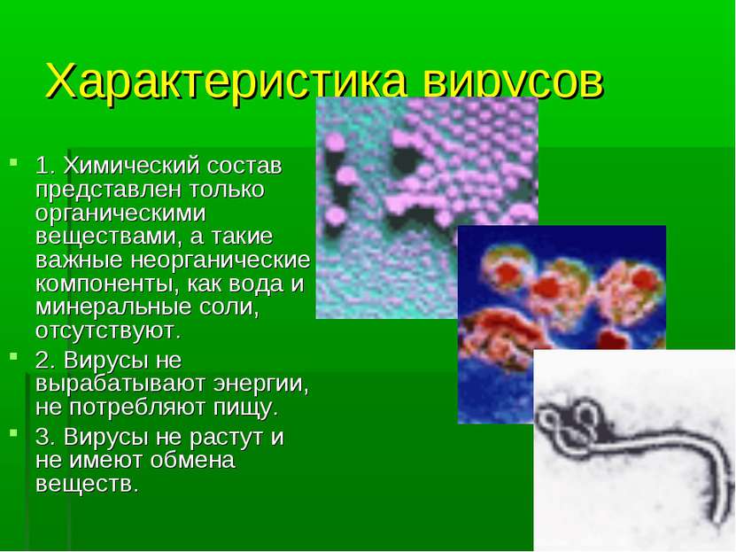 Характеристика вирусов 1. Химический состав представлен только органическими ...