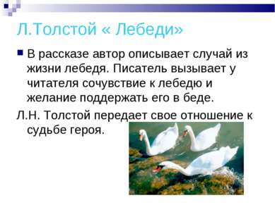 Л.Толстой « Лебеди» В рассказе автор описывает случай из жизни лебедя. Писате...