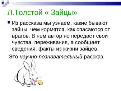 Л.Толстой « Зайцы» Из рассказа мы узнаем, какие бывают зайцы, чем кормятся, к...