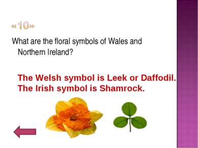 What are the floral symbols of Wales and Northern Ireland? The Welsh symbol i...