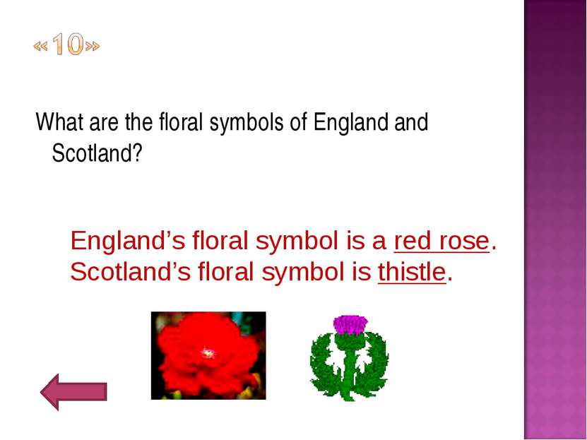 What are the floral symbols of England and Scotland? England’s floral symbol ...