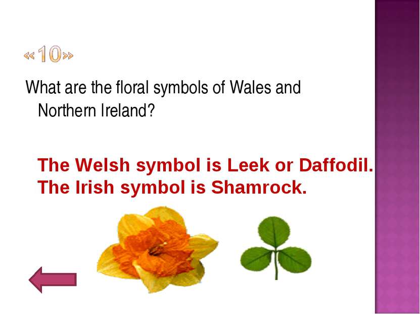 What are the floral symbols of Wales and Northern Ireland? The Welsh symbol i...