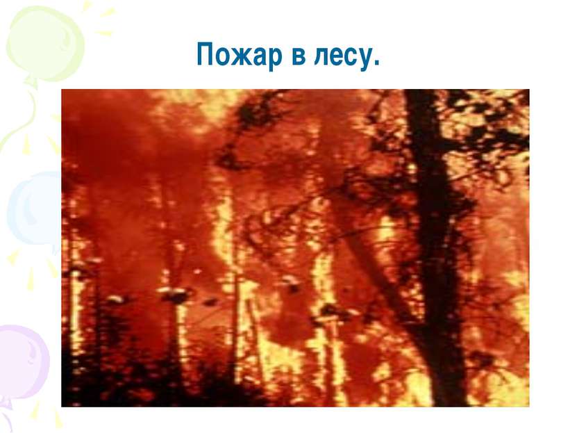 Пожар в лесу.