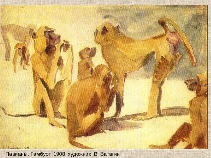 Павианы. Гамбург. 1908 художник В. Ватагин